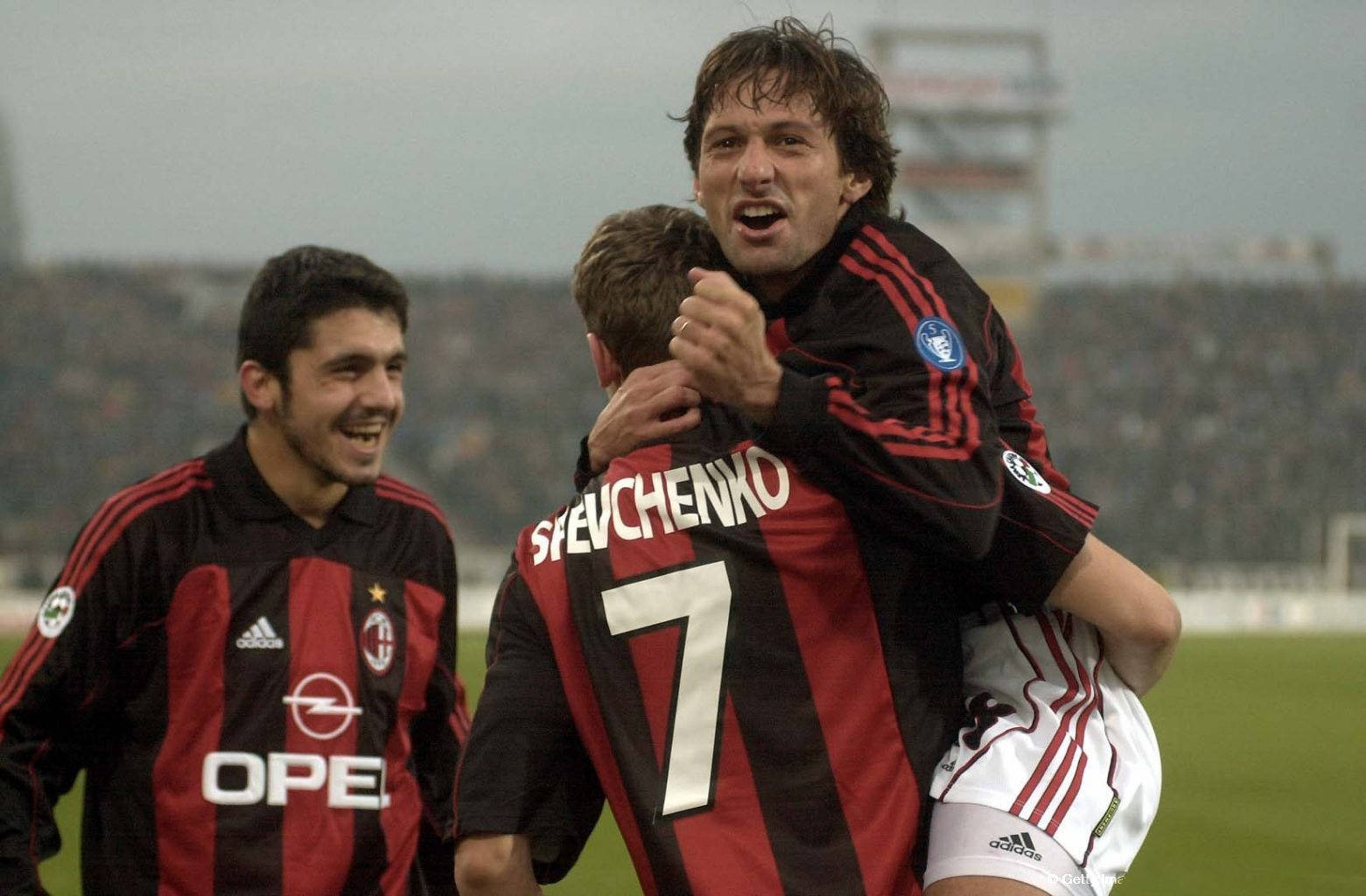 的土地上 的土地上